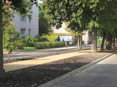 Alejka mineralna wzdłuż jezdni, Aleja Lipowa w Goleniowie