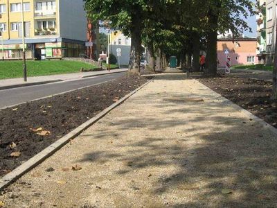 Nawierzchnia mineralna między pasami zieleni, Aleja Lipowa w Goleniowie