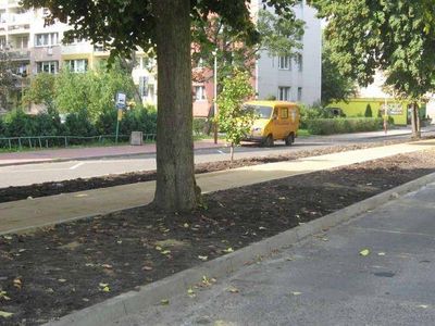 Pas pieszy wzdłuż ulicy, Aleja Lipowa w Goleniowie