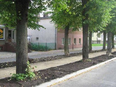 Piesi na alejce z nawierzchnią mineralną, Aleja Lipowa w Goleniowie