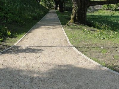 Alejka pod starym drzewem, park w Zamościu