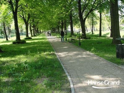 Aleja wśród szpaleru drzew, park w Zamościu