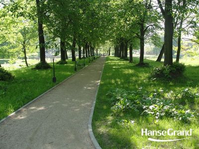 Prosta aleja wśród drzew, park w Zamościu