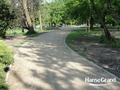 Szeroka aleja w cieniu drzew, park w Zamościu