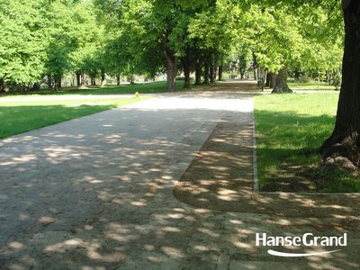 Rozwidlenie alej parkowych, park w Zamościu