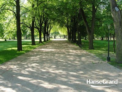 Aleja wśród drzew liściastych, park w Zamościu