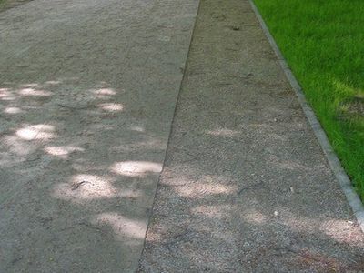 Aleja z obrzeżem, park w Zamościu