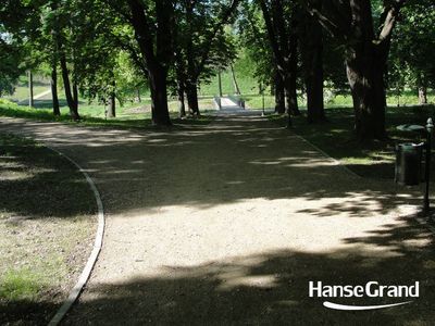 Łuk alei w cieniu drzew, park w Zamościu