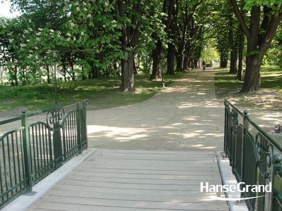 Mostek i aleja parkowa, park w Zamościu