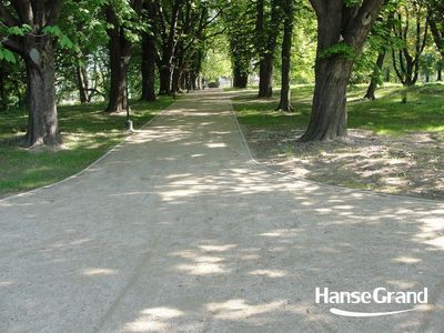 Szeroka aleja wśród drzew, park w Zamościu