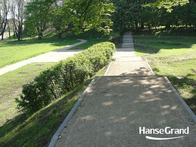 Rozwidlenie alejek przy żywopłocie, park w Zamościu