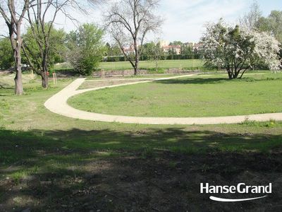 Okrągła alejka wśród trawnika, park w Zamościu