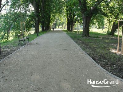 Aleja z ławką, park w Zamościu