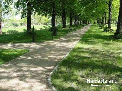 Alejka wśród drzew, park w Zamościu