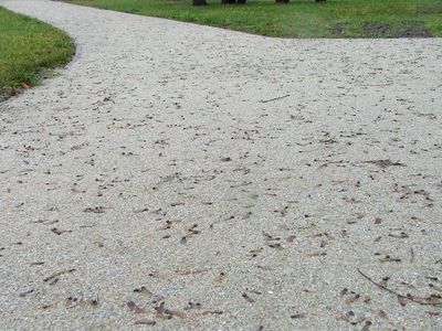 Rozwidlenie alejek z nawierzchnią HanseGrand Chopin, Ogród Botaniczny w Charzykowach
