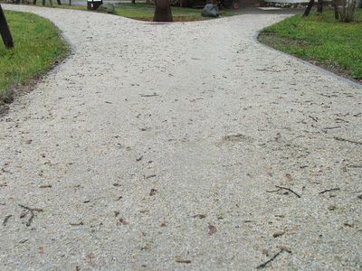 Skrzyżowanie alejek zimą, Ogród Botaniczny w Charzykowach