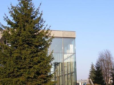Świerk przy ścieżce, Muzeum Lotnictwa Polskiego w Krakowie