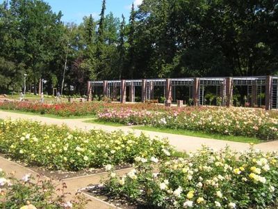 Rabaty różane i pergola, Ogród Różany w Szczecinie