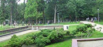 Panorama ogrodu z alejkami, Ogród Różany w Szczecinie