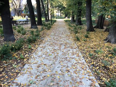 Alejka pokryta jesiennymi liśćmi, Park Krakowski w Krakowie