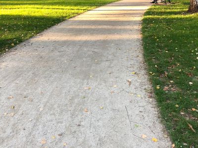Alejka wśród trawnika, Park Krakowski w Krakowie