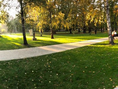 Rozwidlenie alejek w słońcu, Park Krakowski w Krakowie