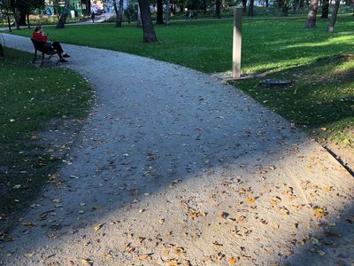 Kręta alejka w cieniu drzew, Park Krakowski w Krakowie