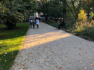 Alejka wśród drzew jesienią, Park Krakowski w Krakowie