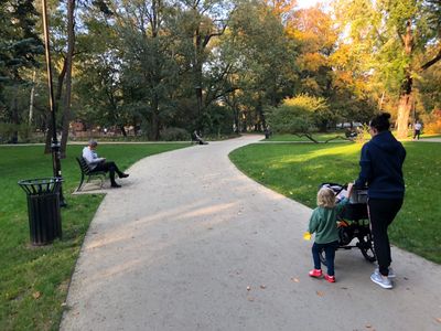 Rozwidlenie alejek z ławką, Park Krakowski w Krakowie