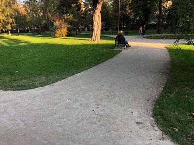 Szeroki zakręt alejki, Park Krakowski w Krakowie