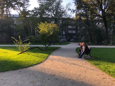 Alejka wśród trawników i drzew, Park Krakowski w Krakowie