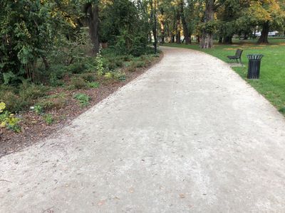 Szeroka alejka wśród krzewów, Park Krakowski w Krakowie