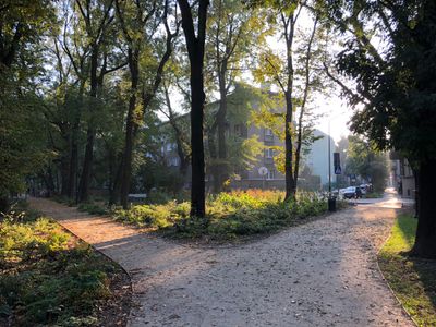 Alejka w cieniu drzew, Park Krakowski w Krakowie