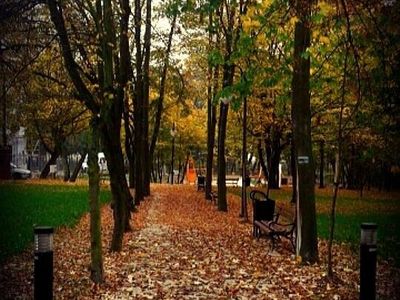 Alejka pokryta liśćmi jesienią, park pałacowy w Poddębicach
