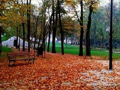 Alejka z latarnią jesienią, park pałacowy w Poddębicach