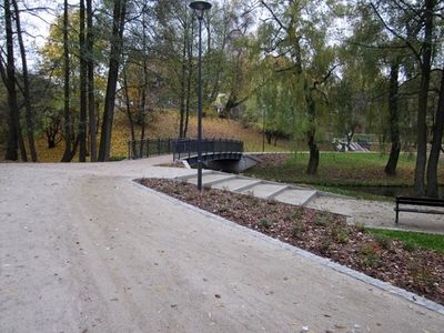 Szeroka alejka wśród drzew, Park Podzamcze w Olsztynie