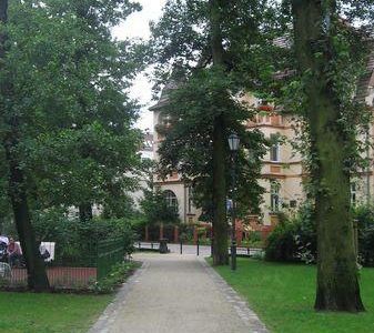 Wąska alejka wśród drzew, park przy molo w Sopocie