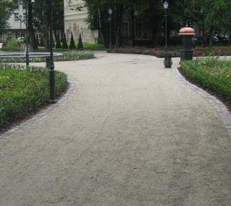 Prosta alejka wśród drzew, park przy molo w Sopocie