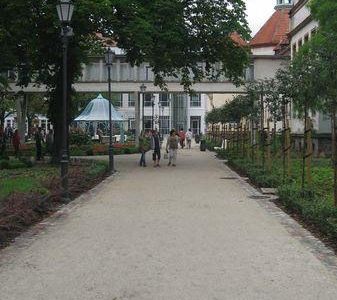 Alejka prowadząca do wieży kościoła, park przy molo w Sopocie