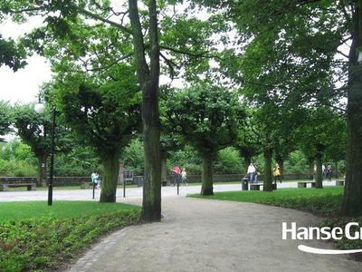 Alejka wśród drzew i ławek, park przy molo w Sopocie