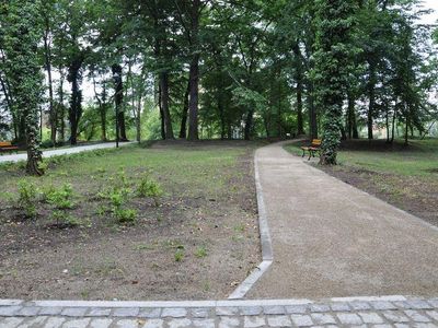 Alejka mineralna przy chodniku, Wyspa Teatralna w Gubinie