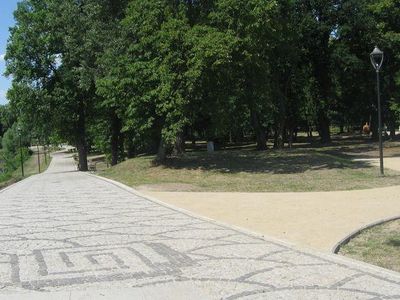 Plac wśród drzew, Wyspa Teatralna w Gubinie