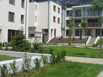 Alejki i żywopłoty na patio, patio przy ul. Wojska Polskiego w Szczecinie