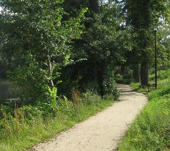 Kręta ścieżka wśród trawy, ścieżka wokół jeziora w Choszcznie