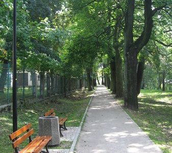 Ścieżka z ławką w cieniu drzew, ścieżka wokół jeziora w Choszcznie