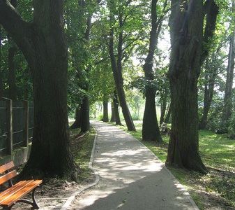 Ścieżka z ławką wśród drzew, ścieżka wokół jeziora w Choszcznie