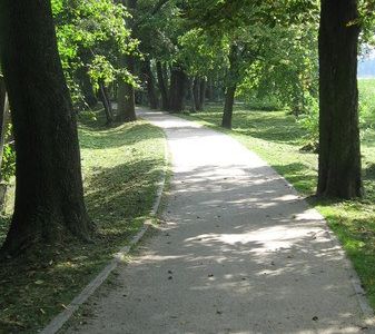 Ścieżka w cieniu drzew, ścieżka wokół jeziora w Choszcznie