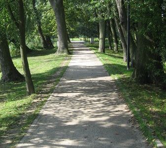 Prosta ścieżka wśród drzew, ścieżka wokół jeziora w Choszcznie