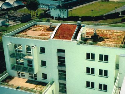 Tarasy na zielonym dachu budynku, zielony dach w Warszawie